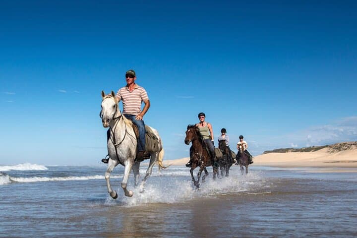 Agadir & Taghazout Beach Horseback Riding — Sunrise and Sunset Coastal Rides photo 6