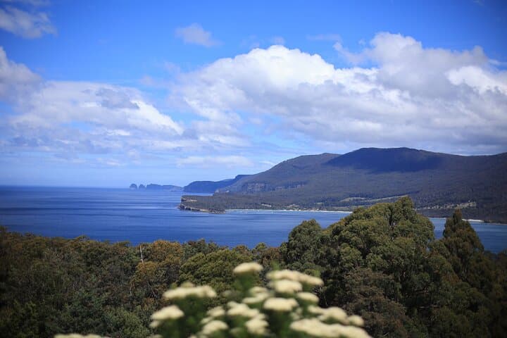 Tasman Peninsula Day Tour: Coastal Cliffs, Tessellated Pavement & Remarkable Cave