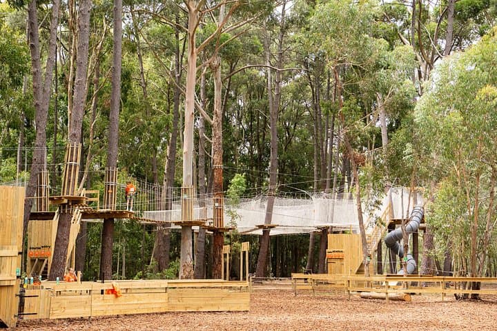 Zipline Over the Heysen Trail: Treetop Adventure in Kuitpo Forest photo 2