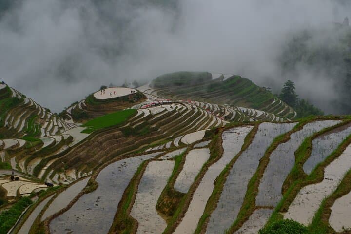Hike Longji (Dragon's Backbone) Rice Terraces — Full-Day Ping'an & Zhuang Village Trek photo 4