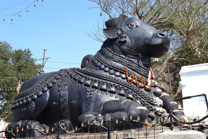 Bangalore Full-Day Private City Tour: Lalbagh, Palaces & Markets photo 4