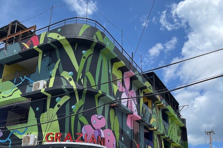 Santurce Art District Bar Crawl: Local Bars, Music & Craft Beer in San Juan photo 3