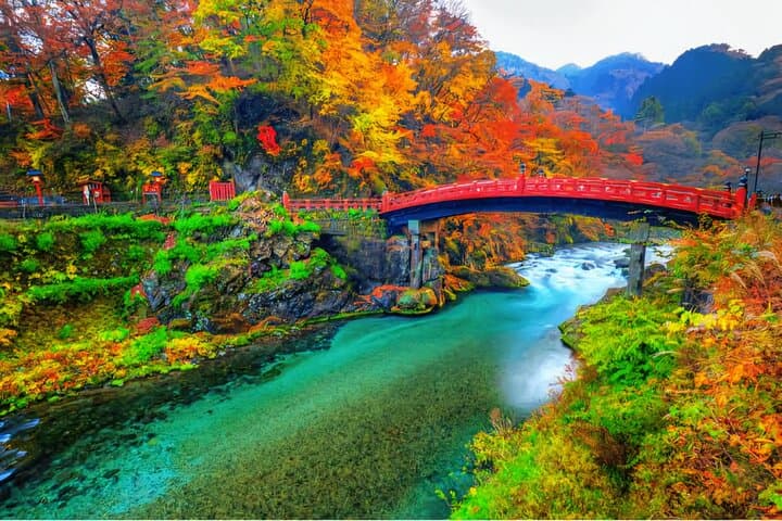 Explore Nikko in a Day: Private Full-Day Tour with an English-Speaking Driver