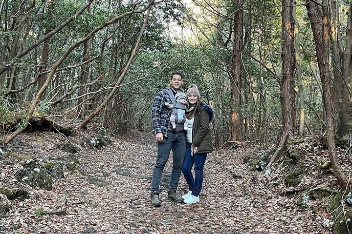 Aokigahara Jukai Forest Tour at Mt. Fuji — Guided Lava-Cave & Lake Saiko Exploration photo 2