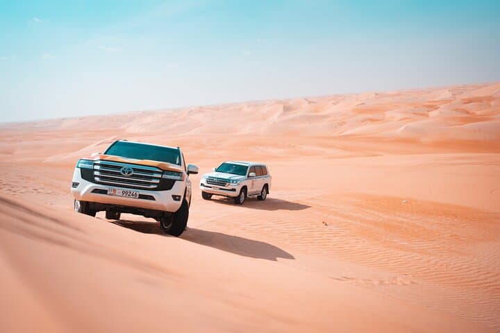 Liwa Oasis Desert Drive: Day-Trip Into the Rub al Khali from Abu Dhabi photo 2