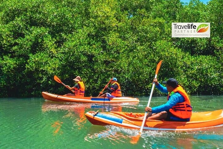 Bali Mangrove Canoeing Tour — Paddle Benoa’s Coastal Forest & Support Conservation photo 4