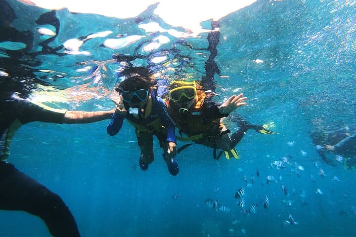 Bali Tropical Snorkeling and Mangrove Cruise — Snorkel Serangan Reefs & Turtle Island photo 3