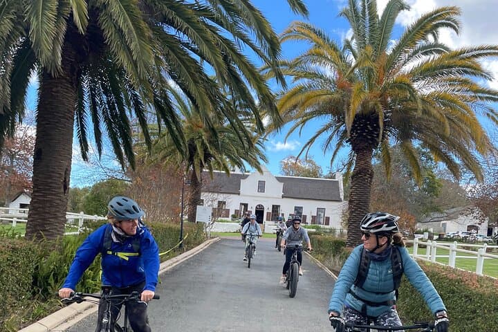 E-Bike Wine Tour in Stellenbosch Countryside — Half-Day Banhoek Valley Ride & Tastings photo 2
