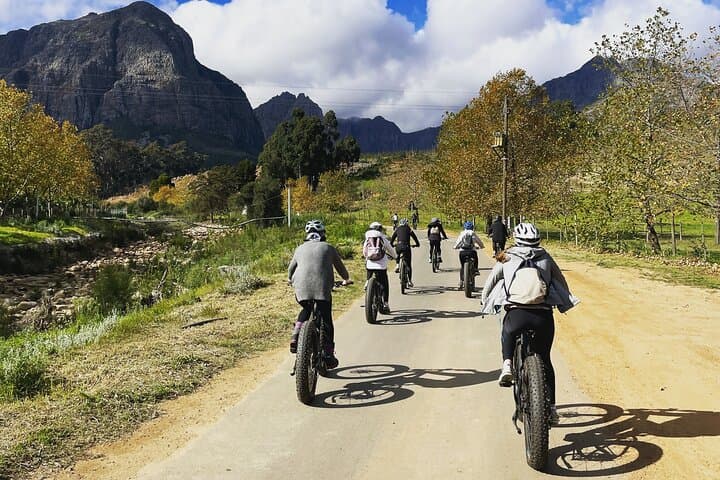 E-Bike Wine Tour in Stellenbosch Countryside — Half-Day Banhoek Valley Ride & Tastings photo 3