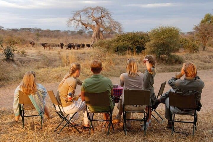 6-Day Private Safari from Arusha: Serengeti, Ngorongoro & Mt Kilimanjaro Day Hike photo 5
