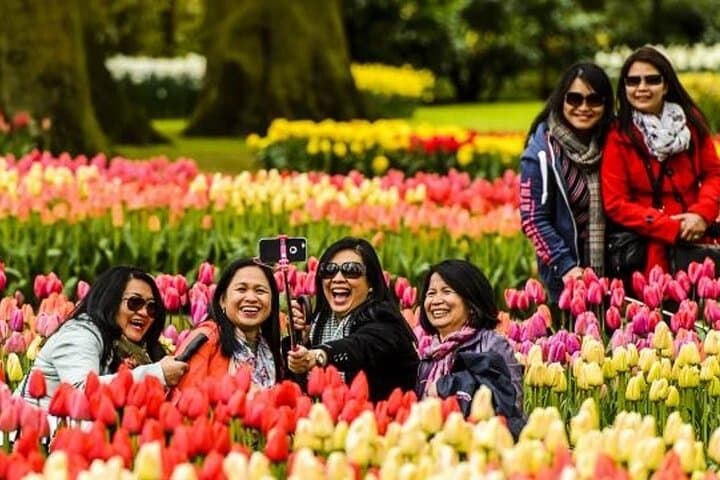 Keukenhof Shuttle from Amsterdam: Fast-Track Entry & Flexible Return photo 2