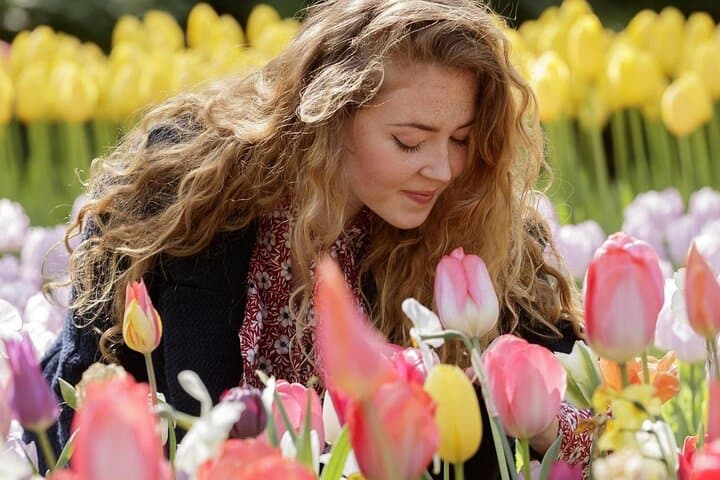 Keukenhof Shuttle from Amsterdam: Fast-Track Entry & Flexible Return photo 4