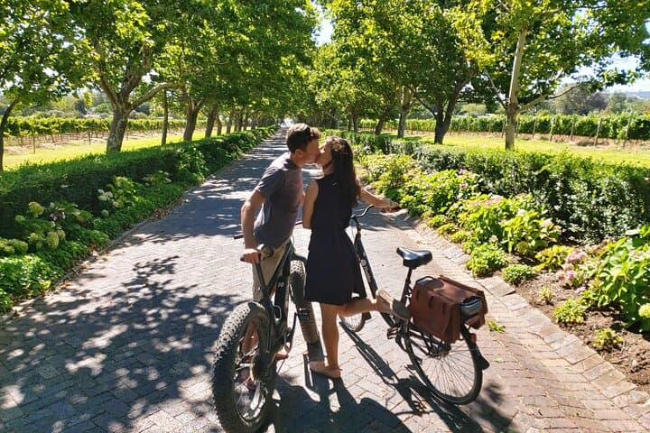 Half-Day E-Bike Wine Tour in Stellenbosch Winelands photo 3