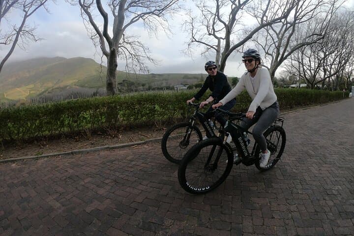 Half-Day E-Bike Wine Tour in Stellenbosch Winelands photo 4
