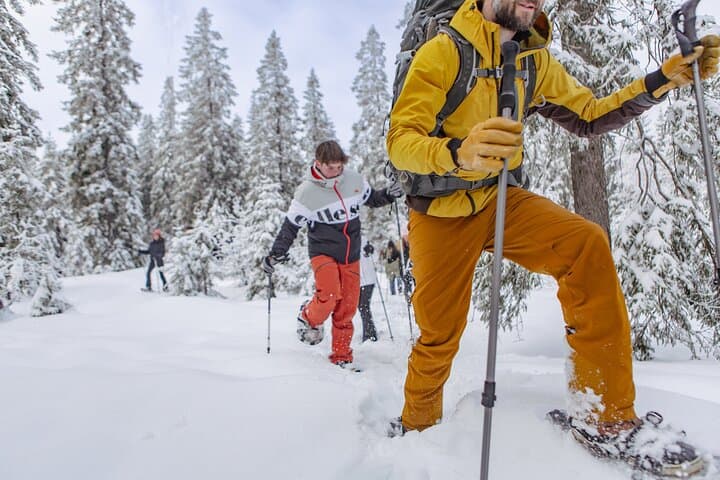 Snowshoeing Oslomarka: Frognerseteren Winter Forest Tour (Oslo) photo 4