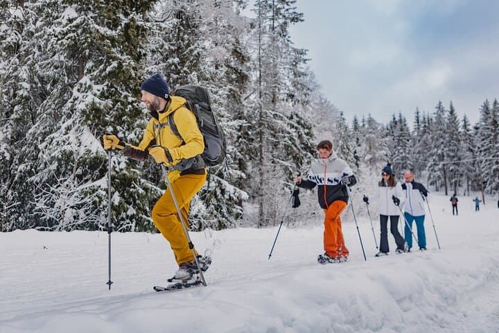 Snowshoeing Oslomarka: Frognerseteren Winter Forest Tour (Oslo)