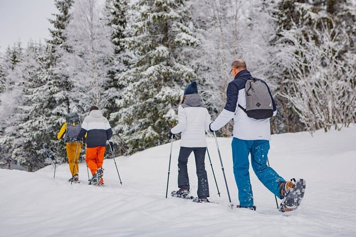 Snowshoeing Oslomarka: Frognerseteren Winter Forest Tour (Oslo) photo 5