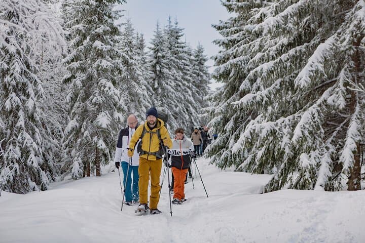 Snowshoeing Oslomarka: Frognerseteren Winter Forest Tour (Oslo) photo 6