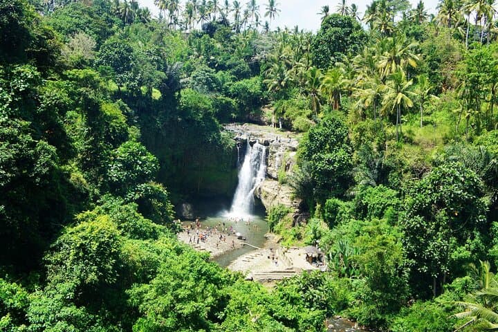 Hidden Gems Bali Waterfall Tour: Full-Day Private Trip from Ubud photo 4