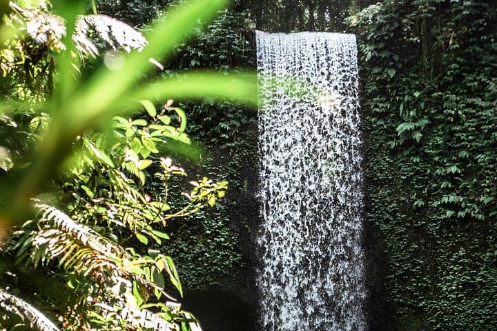 Hidden Gems Bali Waterfall Tour: Full-Day Private Trip from Ubud photo 5