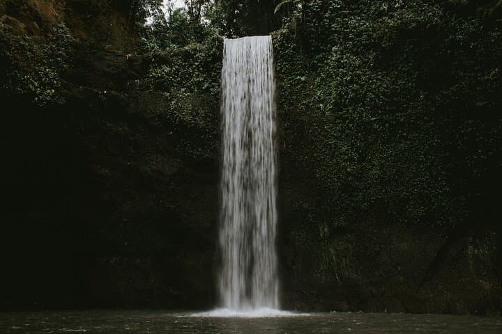 Hidden Gems Bali Waterfall Tour: Full-Day Private Trip from Ubud photo 6