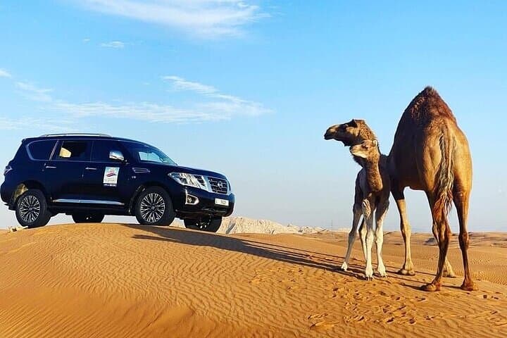 Dubai Desert Safari with BBQ, Camel Ride & Dune Bashing photo 3