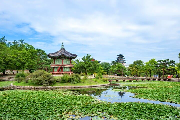 Seoul Highlights Small-Group Tour: Gyeongbokgung, Hanbok & Tea Ceremony photo 6