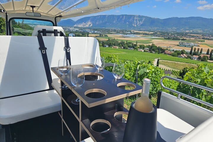 Geneva TukTuk Vineyard Tour: Electric TukTuk Wine Tasting Above Lake Geneva