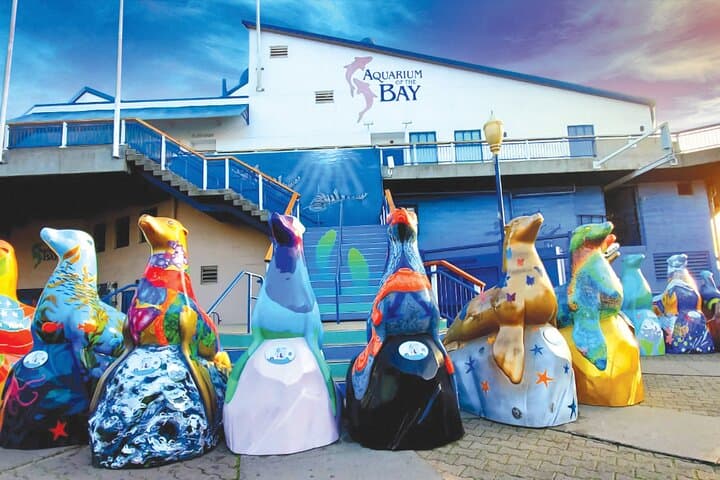 Explore Aquarium of the Bay: San Francisco Embarcadero Visitor Guide photo 3