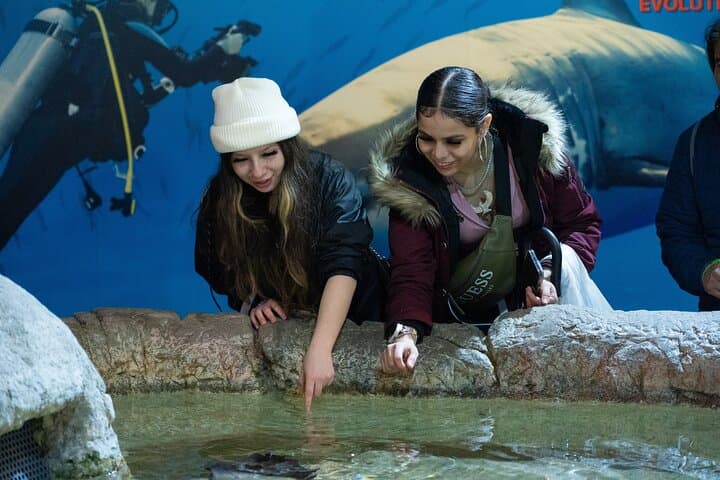 Explore Aquarium of the Bay: San Francisco Embarcadero Visitor Guide photo 6
