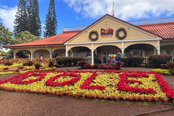 Circle Island Full-Day Tour of Oahu: Snorkel Turtle Town, North Shore & Diamond Head photo 4