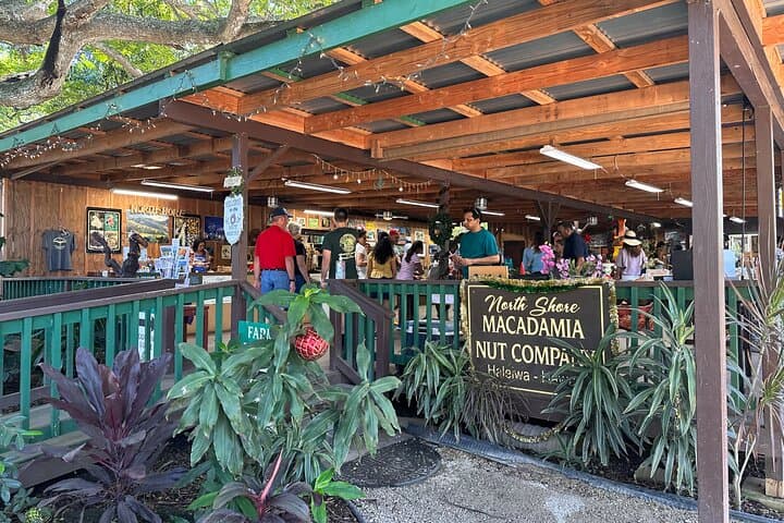 Circle Island Full-Day Tour of Oahu: Snorkel Turtle Town, North Shore & Diamond Head photo 6