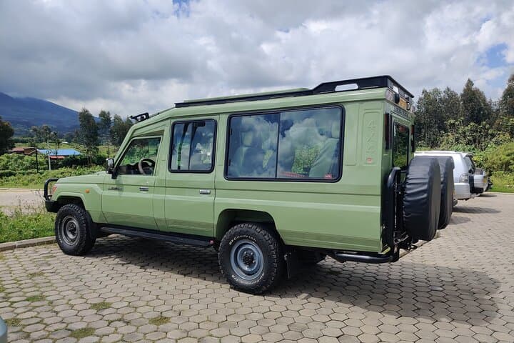 3-Day Private Golden Monkey Trek in Volcanoes National Park, Rwanda photo 5