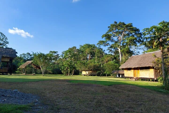 3-Day Yasuni & Limoncocha Amazon Wildlife Tour from Coca