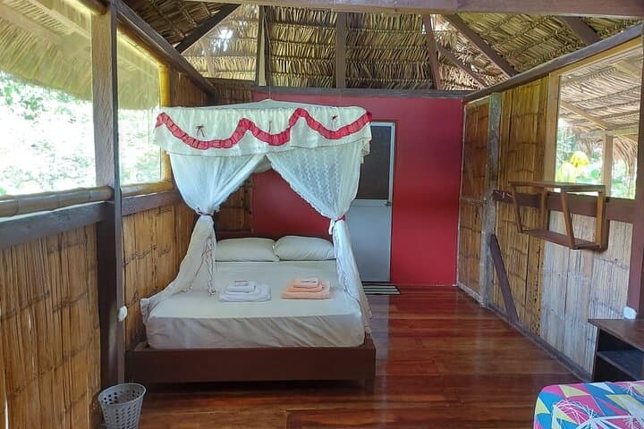 3-Day Yasuni & Limoncocha Amazon Wildlife Tour from Coca photo 2