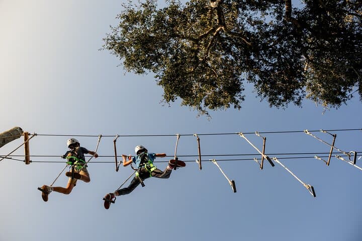 Scaling the Heights: High Ropes Adventure Course in Santa Barbara’s Oak Groves