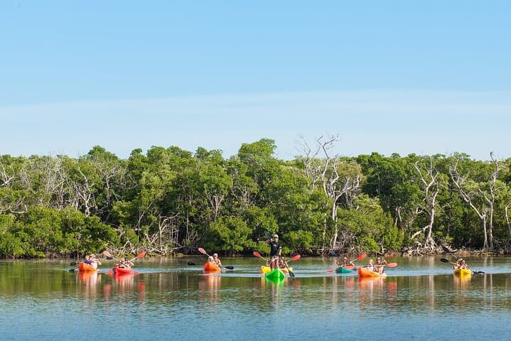 Key West Full-Day Ocean Adventure: Kayak, Snorkel & Sail the National Wildlife Refuge photo 3