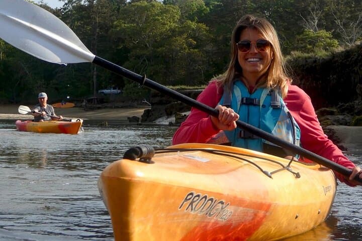 Kayak the Creek Nature Tour: Scorton Creek Wildlife Paddle on Cape Cod photo 6