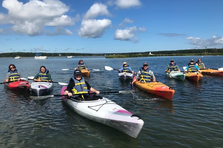 Paddle the Sandwich Great Marsh: Cape Cod Kayak Rentals & Wildlife Encounters photo 4