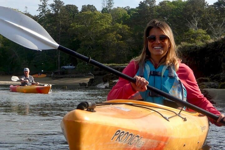 Paddle the Sandwich Great Marsh: Cape Cod Kayak Rentals & Wildlife Encounters photo 2