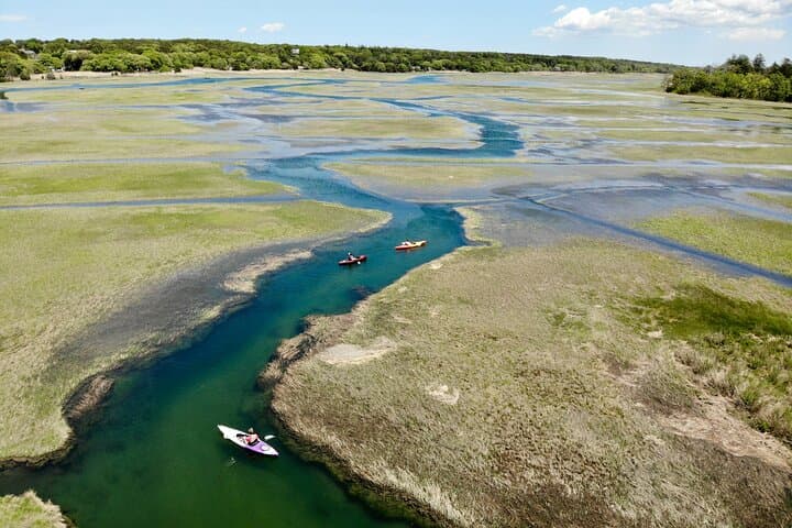 Paddle the Sandwich Great Marsh: Cape Cod Kayak Rentals & Wildlife Encounters photo 3