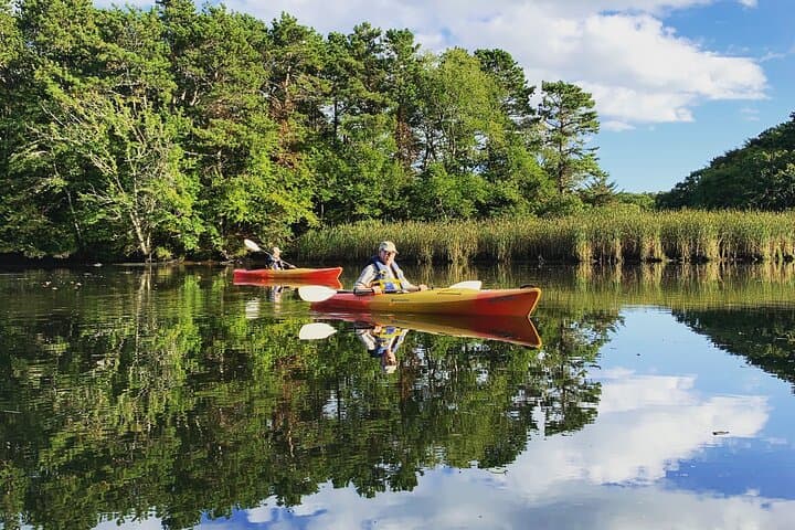 Paddle the Sandwich Great Marsh: Cape Cod Kayak Rentals & Wildlife Encounters photo 5