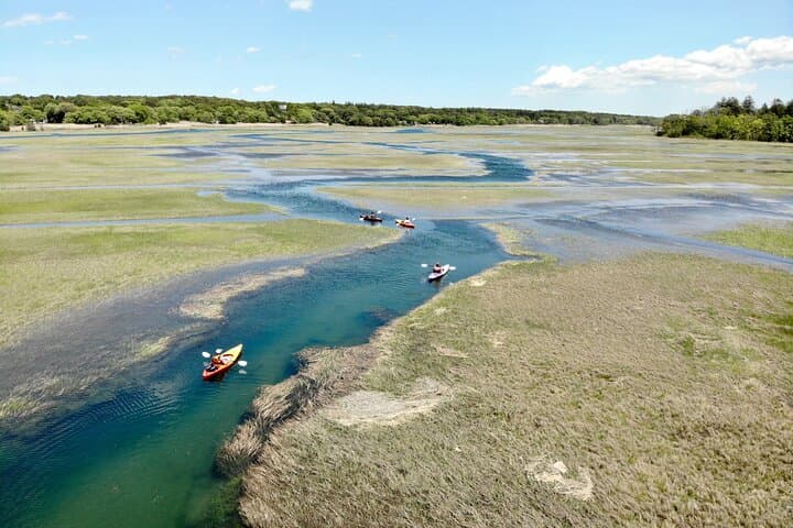Paddle the Sandwich Great Marsh: Cape Cod Kayak Rentals & Wildlife Encounters photo 6