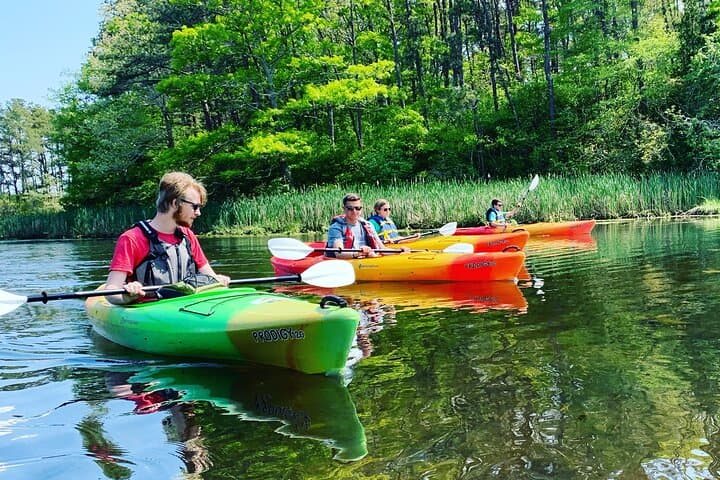 Paddle Popponesset Bay: Cape Cod Kayak Rentals in Mashpee photo 4