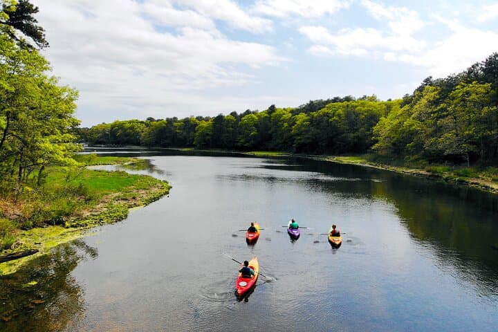 Cape Cod Sunset Kayak Tour on Popponesset Bay photo 6