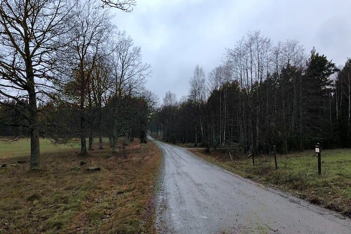 Hellasgården Day Hike — Nackareservet Trails from Stockholm photo 2