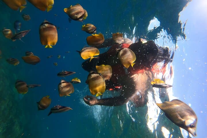 Nusa Penida Day Tour: Kelingking Cliff Views & Private Manta Snorkel photo 1