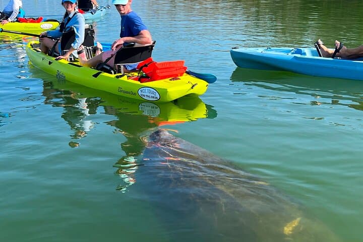 Hobie Kayak EcoTour in Estero Bay — Big Hickory Island Shelling & Wildlife