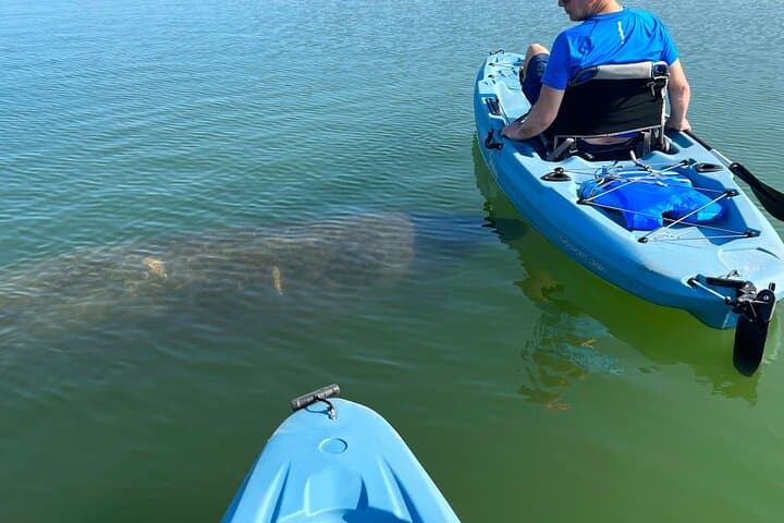 Hobie Kayak EcoTour in Estero Bay — Big Hickory Island Shelling & Wildlife photo 2