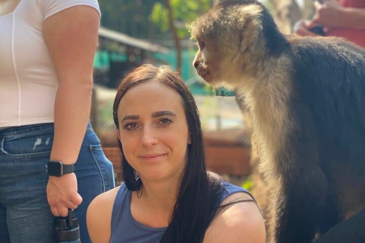 Monkey, Crocodile, Sloths & Beach Experience — Jaco Wildlife Tour photo 4